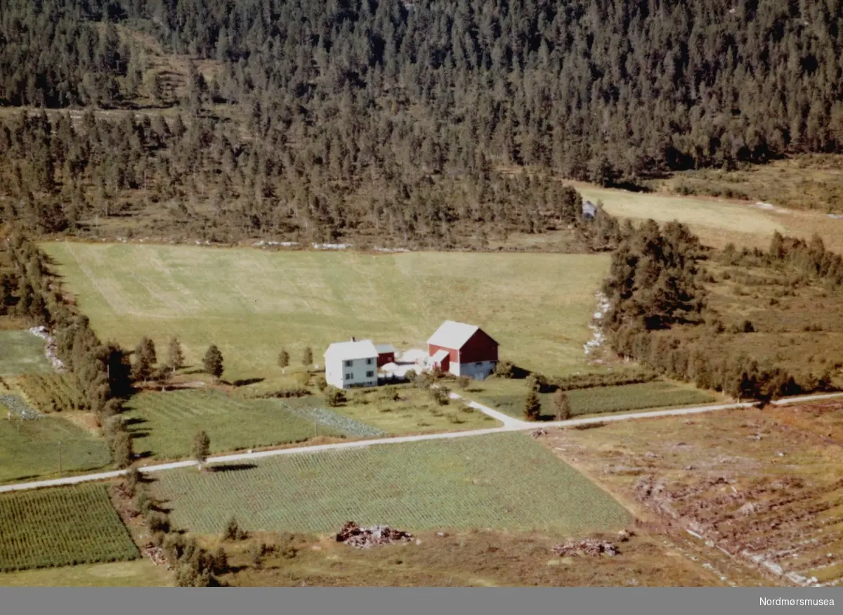 Flyfoto fra gården Heimli (Heimly?) nær Vågbø i Tingvoll kommune. Bildet er datert 30. juli 1963, og fotograf er Widerøe's Flyveselskap a/s. Fra Nordmøre Museums fotosamlinger.
