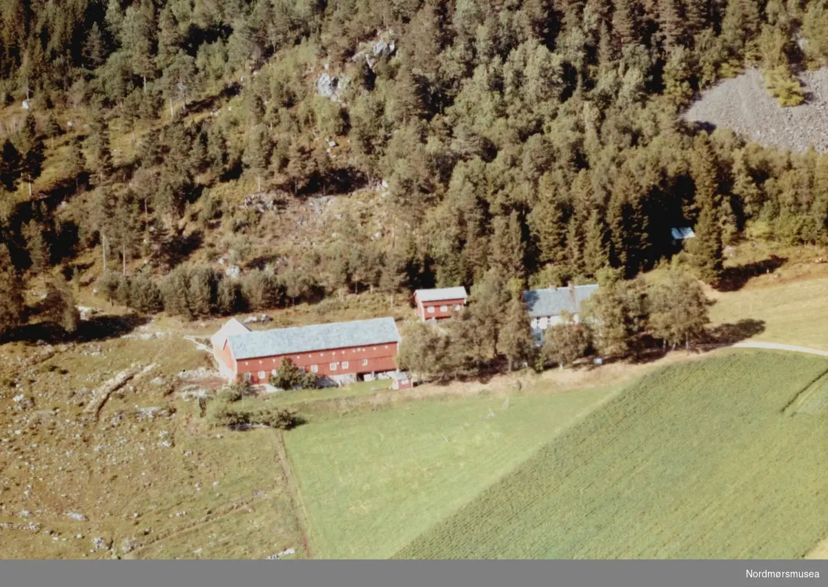 Flyfoto trolig fra gården til Johan Ulset i Tingvoll kommune. Bildet er datert 30. juli 1963, og fotograf er Widerøe's Flyveselskap a/s. Fra Nordmøre Museums fotosamlinger.  /Reg:EFR2013/
