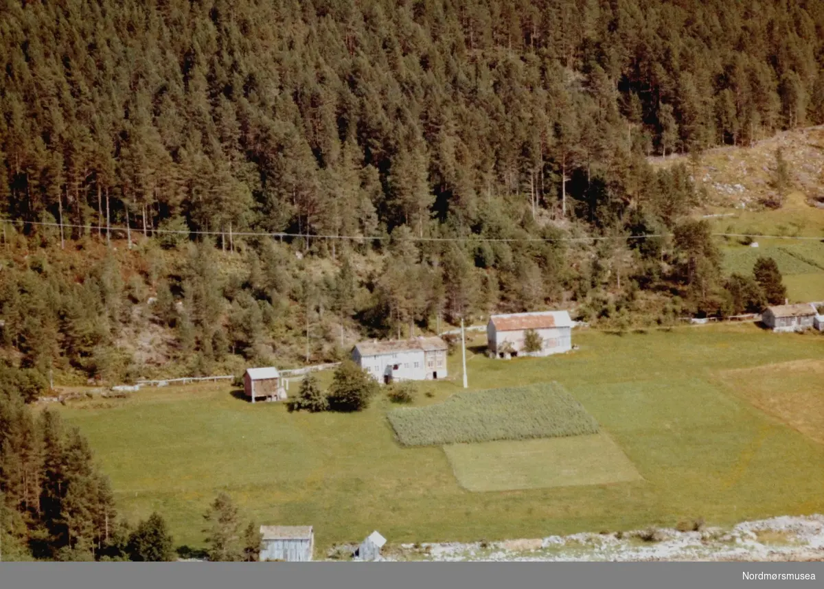 Flyfoto
trolig fra gården til Tore Polden (per 1992), på Nordvikstranda i Surnadal kommune. Bildet er datert 31/7-1963, og fotograf er Widerøe's Flyveselskap a/s. Fra Nordmøre Museums fotosamlinger.
- Gardsbruket til Tore Olson Polden er Åsbøhagen. Tore var smed og ein vidkjend bjøllmakar. (Tilleggsinfo: Magne Holten.)



