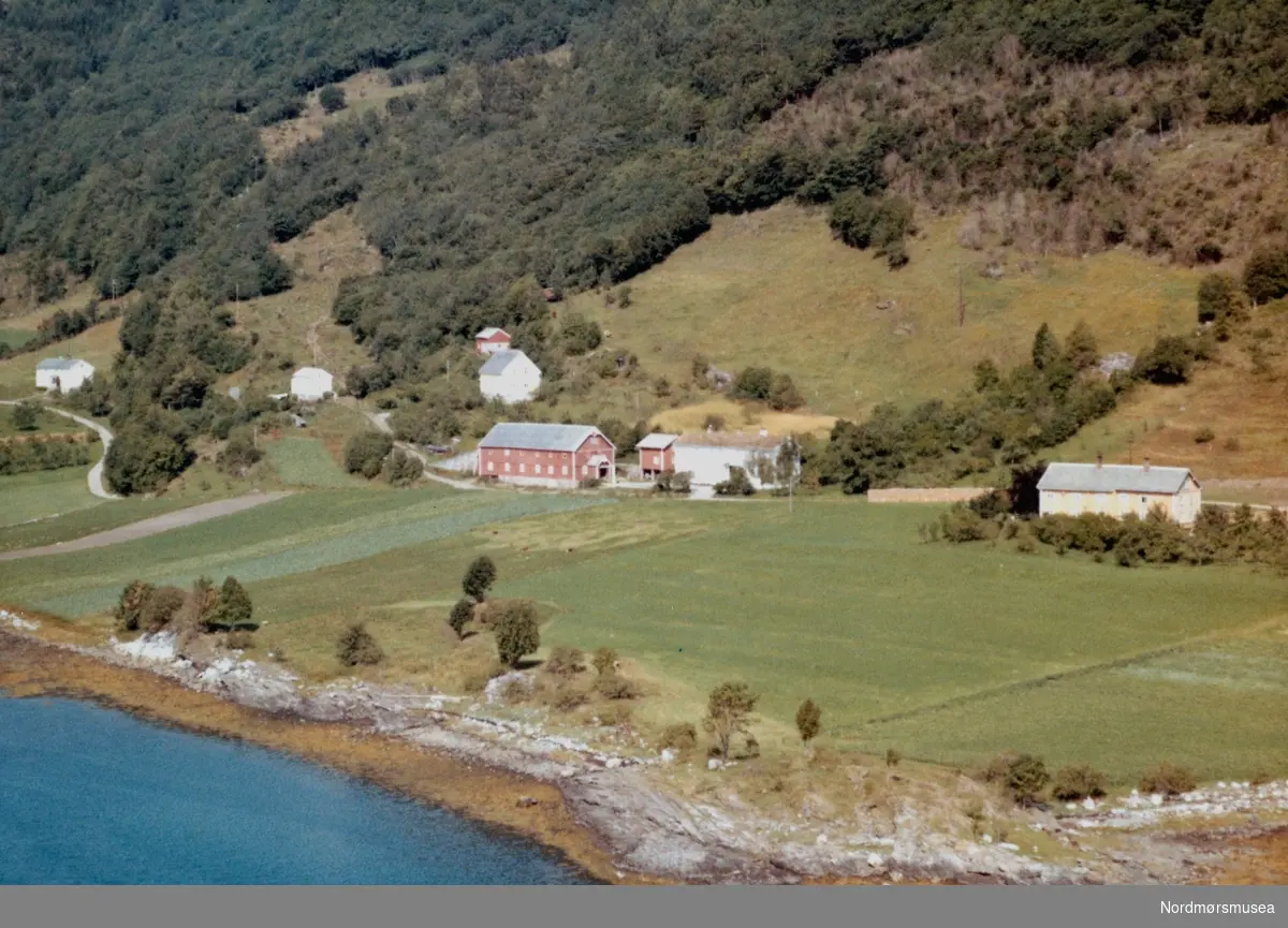 Flyfoto fra Stangvik i Surnadal kommune. Bildet er datert 31/7-1963. Fra Nordmøre Museums samlinger.
 -
 Dette er vel Utistua på Brøske til venstre,
og Nestua på Brøske
til høyre.
Gardane ligg i Stangvik, Surnadal kommune. (Informant: Magne Holten.)



