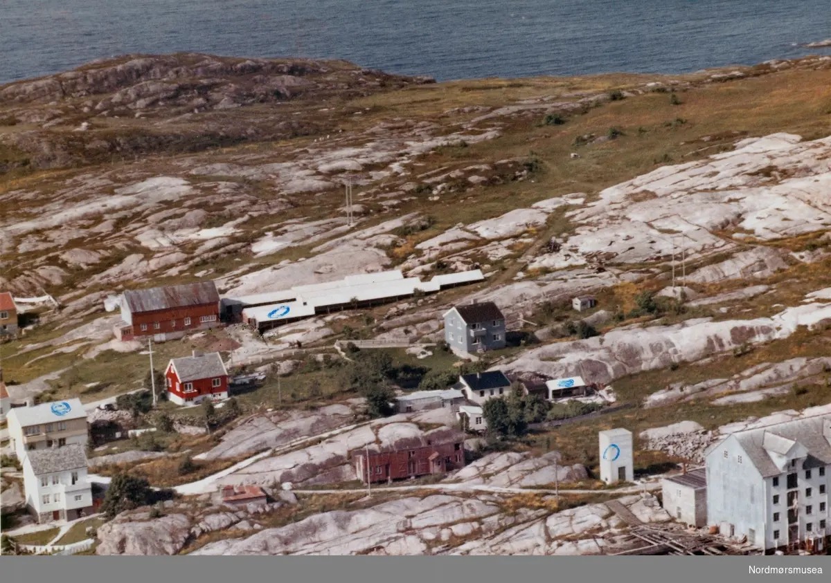 Flyfoto fra området tilhørende Anders Sandvik på Skorpa i Kristiansund. Tidligere tilhørende Johan A. Jægtvig, men ble solgt på tvangsauksjon til Sandvig i 1929. Anders Sandvik drev her gårdbruk, samt en tid minkfarm på dette området. Området har i 2008 fått mange nye bolighus i dette området, mens den ubebygde delen av Skorpa ble i 2007 solgt av Sandviks etterkommere til det nystiftede aksjeselskapet Skorpa Eiendom AS, som så ønsket å bygge ut dette sentrumsnære friområdet med flere hundre boliger, noe det er stor lokal motstand i mot. Ellers så ser vi på bildet en brygge til høyre, som i sin tid ble reist av Nicolay Volcmar, som i 1913 kjøpte strandområdet. Her ble det på bergene produsert klippfisk. Bryggen brant ned til grunnen i 1997, og var på den tid kjent som Visnes brygga. Det ble senere oppført en ny lavere brygge på samme tomtområdet. Bildet er datert 11 juli 1962. Fra Nordmøre Museums fotosamlinger.