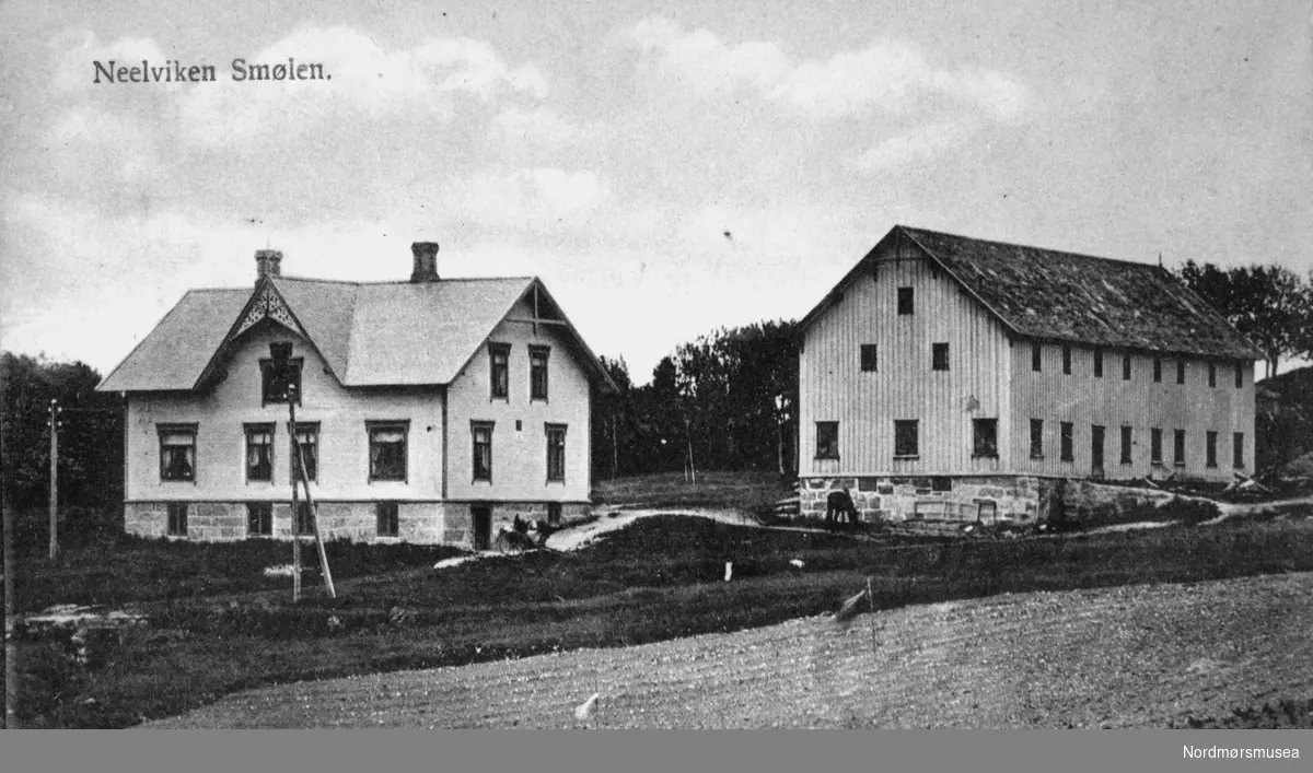 Nelvika, Nerdvika på Smøla. jordbruk, postkort 1920-30. Fra Nordmøre Museum sin fotosamling.