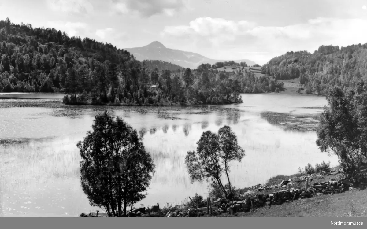 Et flott naturbilde fra et av vannene på Straumsnes i Tingvoll kommune. Her ser vi fra Fra Nordmøre Museum si fotosamling. Bilete teke frå Møkkjavassosen mot Langset og Reinsfjellet. Midt i vatnet ser vi Møkkjavass-holmen. Fotograf er truleg Sigrid Ulset. (Tilleggsopplysning: Eli Ulset.)



