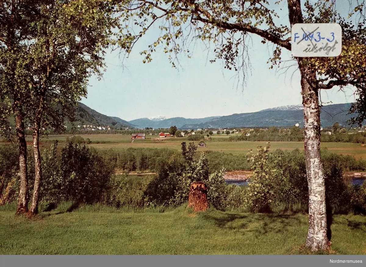 Postkort ";F-1643-3"; med motiv fra Surnadal kommune. Utgitt av Knut Aune kunstforlag A/S, ved Sverdrups Bokhandel A/S. Ukjent datering. Fra Nordmøre Museums fotosamlinger.

Fra Skei.platået og nedover bygda mot sjøen.
 (reg,;KTE)
