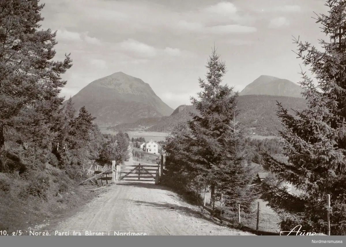 Postkort ";10"; med motiv fra Bårset i Halsa kommune. Ukjent datering.  Kortet er utgitt av Knut Aune kunstforlag A/S. Fra Nordmøre Museums fotosamlinger. Reg: EFR
