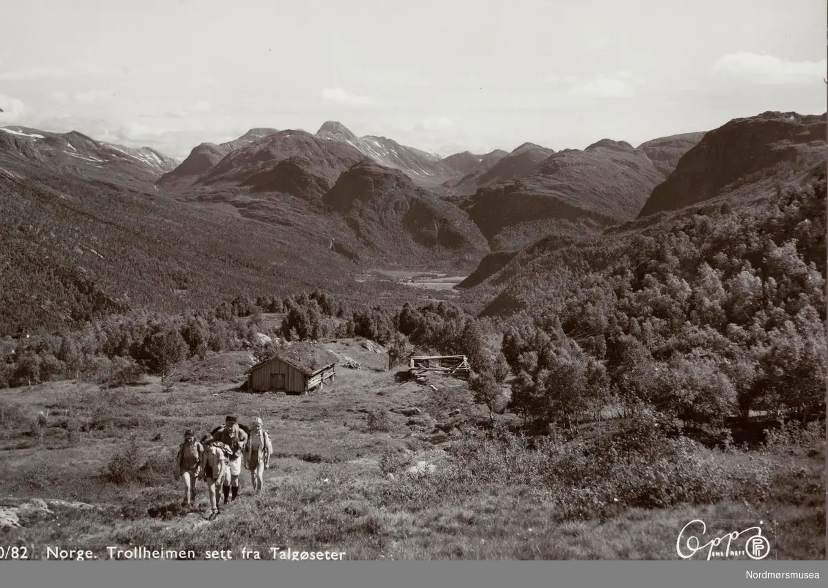 Postkort ";10/82"; med motiv fra Trollheimen, sett fra Talgøseter. Usikker kommune, men området er avgrenset mellom Surnadal og Rindal i nord og Orkdal og Dovrebanen i øst, samt Sunndal i sør og av fjordene i vest. Utgitt av Eberh. B. Oppi A/S. Fra Nordmøre Museums fotosamlinger. /Reg:EFR2013/
