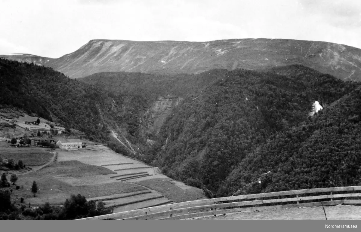 Foto fra Jenstad i Sunndal kommune, hvor vi ser bygda med fjellene i bakgrunnen. Fotograf og datering er ukjent, men trolig er fotograf Georg Sverdrup, og datering fra perioden 1930 til 1939. Fra Nordmøre Museums fotosamlinger. reg: EFR
