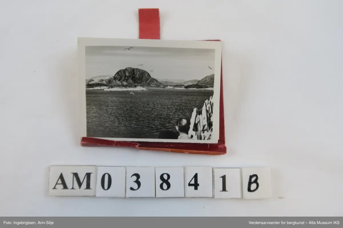 Tre små etuier i trukket lær og plast som inneholder hver sin remse med fotokopier med ulike motiver fra Nord-Norge. Remsene er festet i den ene enden til skinnplaten. 
Gjenstand A inneholder motiver av samer og deres levesett.
Gjenstand B inneholder motiver av landskap i Nord-Norge.
Gjenstand C inneholder motiver av landskap i midnattsol.