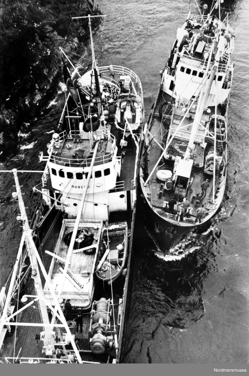 Sildeflåten på vei ut Nordsundet, her representert med to fiskefartøy. Navnene på disse fartøyene er Rubens og Hargun opplyser 
Bertil Farstad. - Fotograf og giver er Kjell Sandum i Adresseavisen. Fra Nordmøre Museums fotosamlinger.