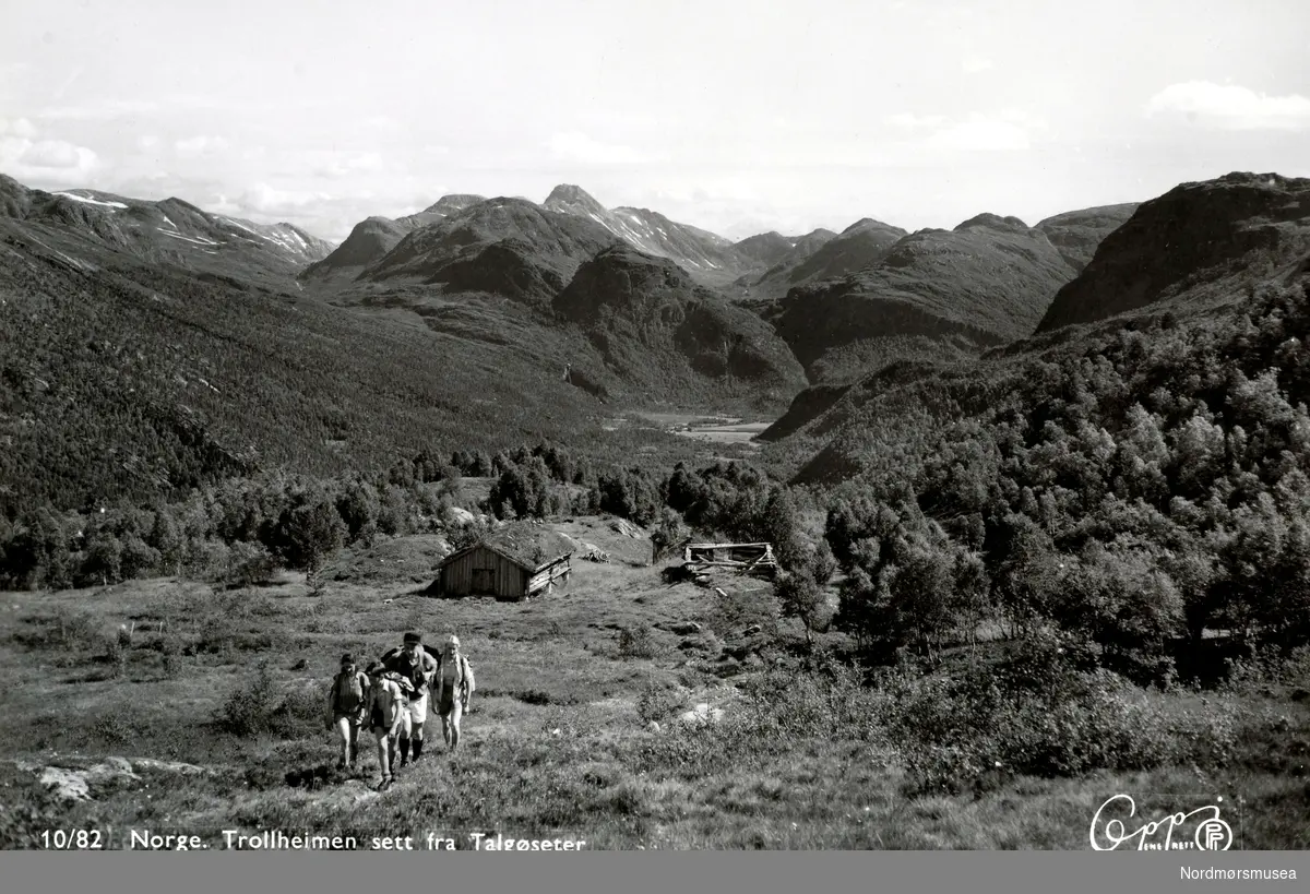 Postkort ";10/82"; med motiv fra Trollheimen, sett fra Talgøseter. Utgitt av Eberh. B. Oppi A/S. Fra Nordmøre Museums fotosamlinger.   /Reg:EFR2013/
