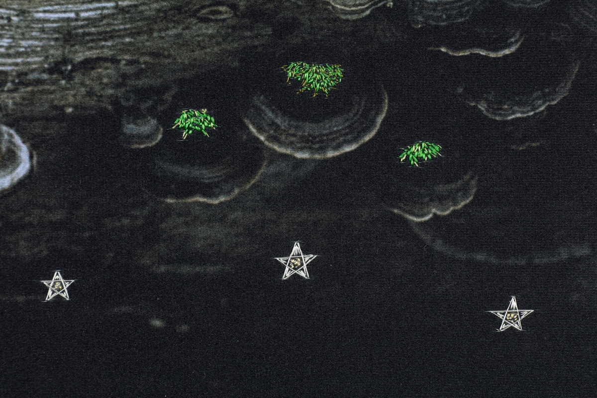 Hege Dons Samset undersøker forholdet mellom naturen og mennesker, og hvordan alt levende inngår i en gjensidig sammenheng. Hennes prosjekt til Urbygningen "As Above, So Below – The Age of Stars", er tematisk inspirert av virksomheten ved NMBU og består av to store fargefotografier og tre mindre silkearbeider. Bildene er tatt på ulike steder i verden for å representere det universelle og globale i studiene på NMBU, og de ulike kulturene som studentene kommer fra.

De tre silkearbeidene representerer den nye teknologiens utvikling, møtet mellom det gamle og det nye. Her er foto overført digitalt til tekstil og kunstneren har brodert diverse motiver for hånd med silketråd og supplert med fjær og annet organisk materiale. Slik fremheves små detaljer og betrakteren inviteres til nærlesning og oppdagelse i flate. Utgangspunkt er de fire himmelretningene og årstidene. "A New Beginning – Wisdom of the North" representerer vindretningen nord og vinteren med vannet og luftens element og viser et landskap fra Island hvor en isbre oppløses i en vulkansk innsjø av svart grus. "Conversations in the Undergrowth – Wisdom of the East and South" representerer vindretningen øst og syd, våren og sommeren med jordens element, og viser et landskap fra Andesfjellene på grensen mellom Chile og Argentina. "The Conference of Birds – Wisdom of the West" representerer vindretningen vest og høsten med ildens element, og viser et vulkansk landskap fra Island hvor en isbre smelter.