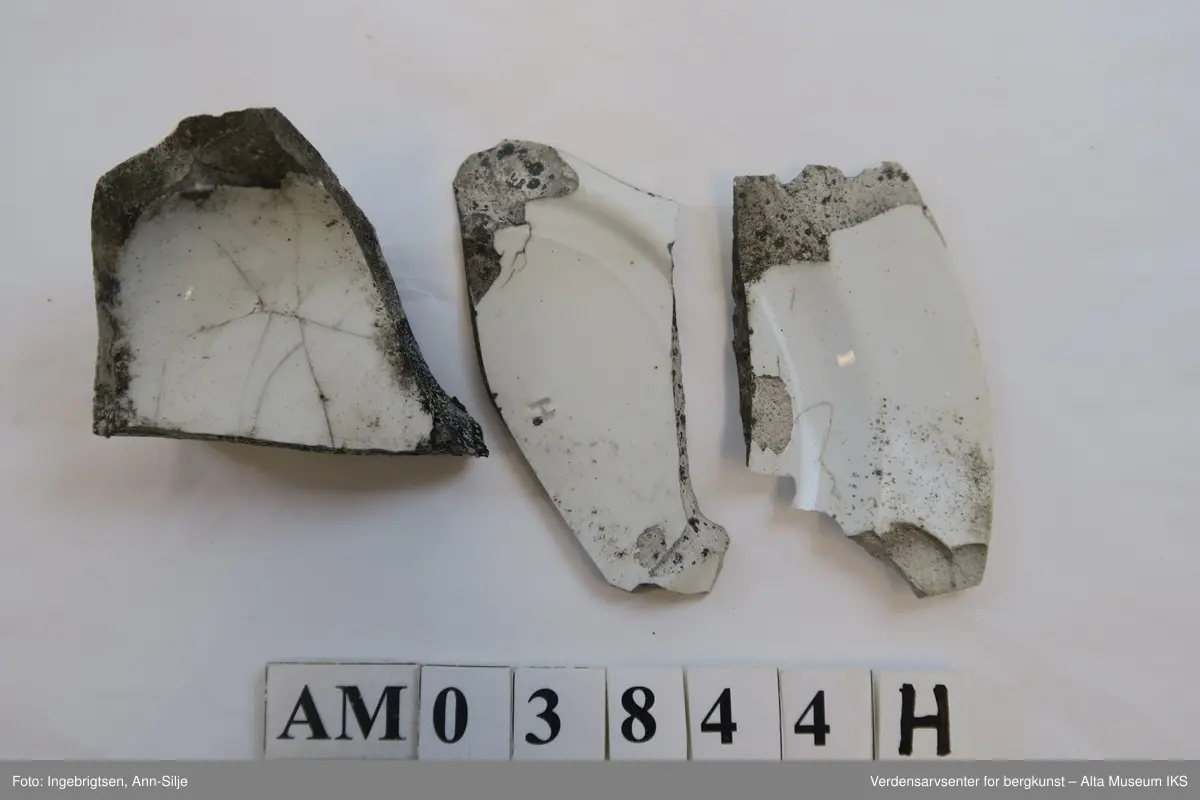Tingene, med unntak av hestesko og krok, er ødelagte/fragmentert. Det er fragmenter av keramikk og porselen, to glassbiter fra flasker, en ledning med metallstrenger, stor krok og en liten hestesko.