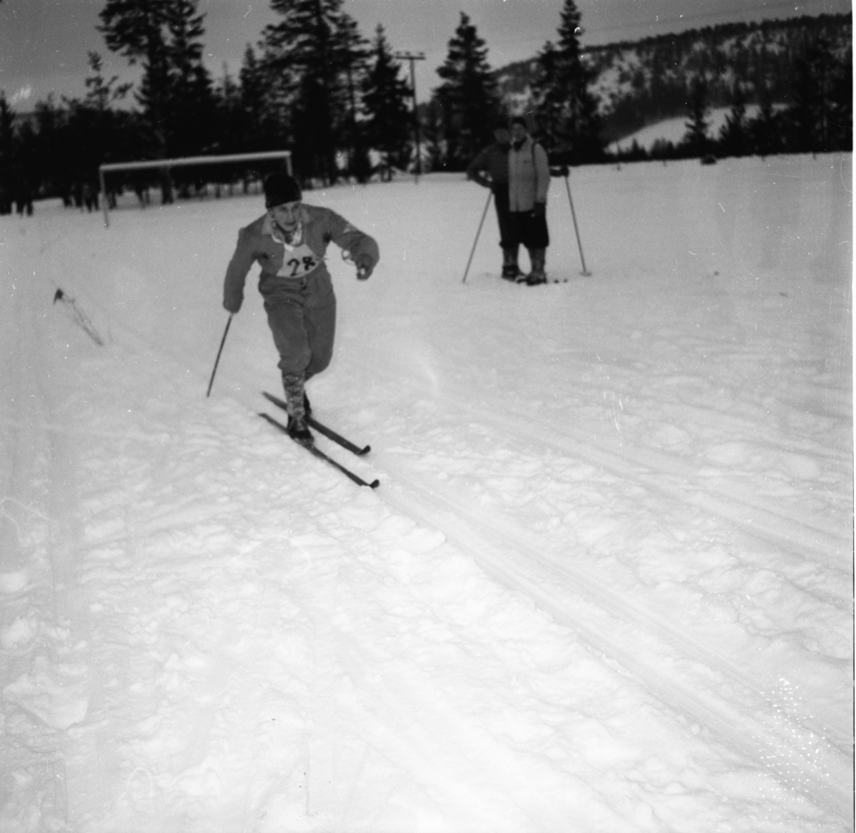 Vardens arkiv. "K.M. i Lunde. Langrenn"  23.01.1954