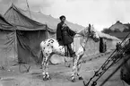 Bildsvit från Cirkus Strassburgers besök i Karlstad år 1929. Cirkusen är enligt expertisen den största som turnerat i Sverige.