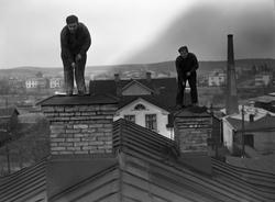 Sotare på fastigheten i dåvarande hörnet av Vänerslundsgatan