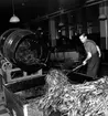 Bild från Svenska Tobaksmonopolets fabrik i Arvika tagen år 1946.