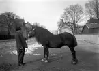 Åkare Jonsson mitt i Drottninggatan i höjd med stadshuset år 1922.