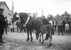 Lantbruksutställning i Klara år 1910.