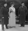 Gustaf Fröding med besökare och Signe Trotzig. Bilden togs vid Ulleråkers sjukhus 1904 av läkaren Johan Morén.