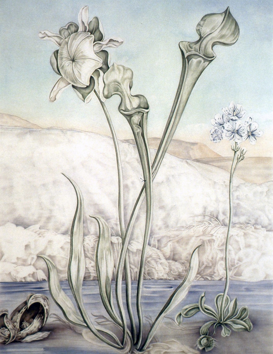 Verket består av 5 paneler montert samlet. 
Motivet i midten viser en sumpplante (venus flytrap) i landskap. På hver side er det avbildet pseudogotisk akantus ranke, og helt ytters på hver side en kolibri/foliage sittende på en gren, på monokrom fargeflate.