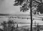 Svinhammar omkr. 1910.
Foto taget från Kaffestugans tak. Tallen står fortfarande kvar.