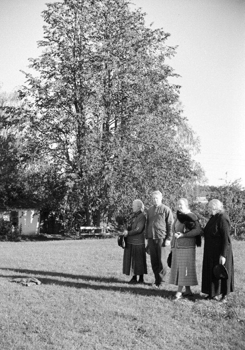 Imerslund, store, Vang H.Gruppe 4, ukjente