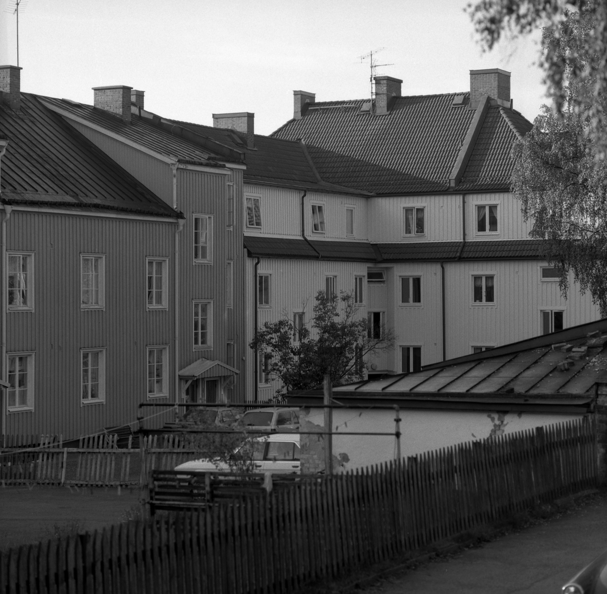 På fotografisk vandring med Bertil Ludvigsson i 60-talet och framåt.