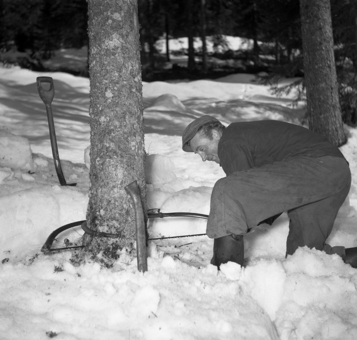 En serie bilder med anknytning till Sälboda gård tagen 55-03-22.