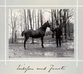 Bildserie tagen av August Malmborg (1875-1895), son till landshövding Adolf Malmborg, ägare till Våxnäs herrgård, och hans maka Julia, född Åkerhielm. Bilderna är tagna från tidigt 1890-tal fram till 1895 med texten skriven av modern: Eriksson med Faust.