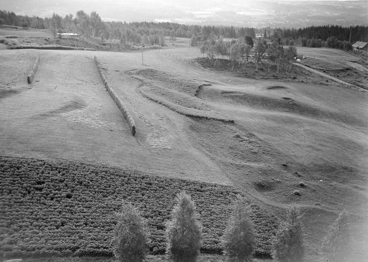 Høsbjør Turisthotell, oversikt, landskap, høyhesjer, Furnes.