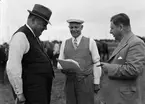 Hästpremiering på Kobacken, Kungsängen, Uppsala juli 1942