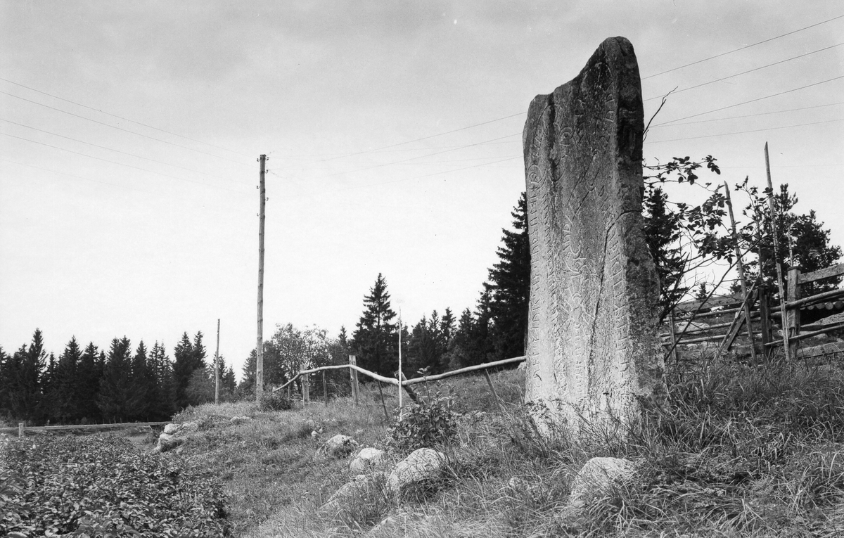 Runsten vid Järvsta gravfält.