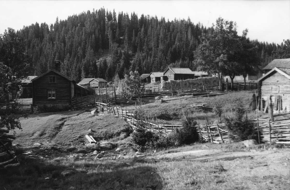 Trogstavallen i Forsa socken.

