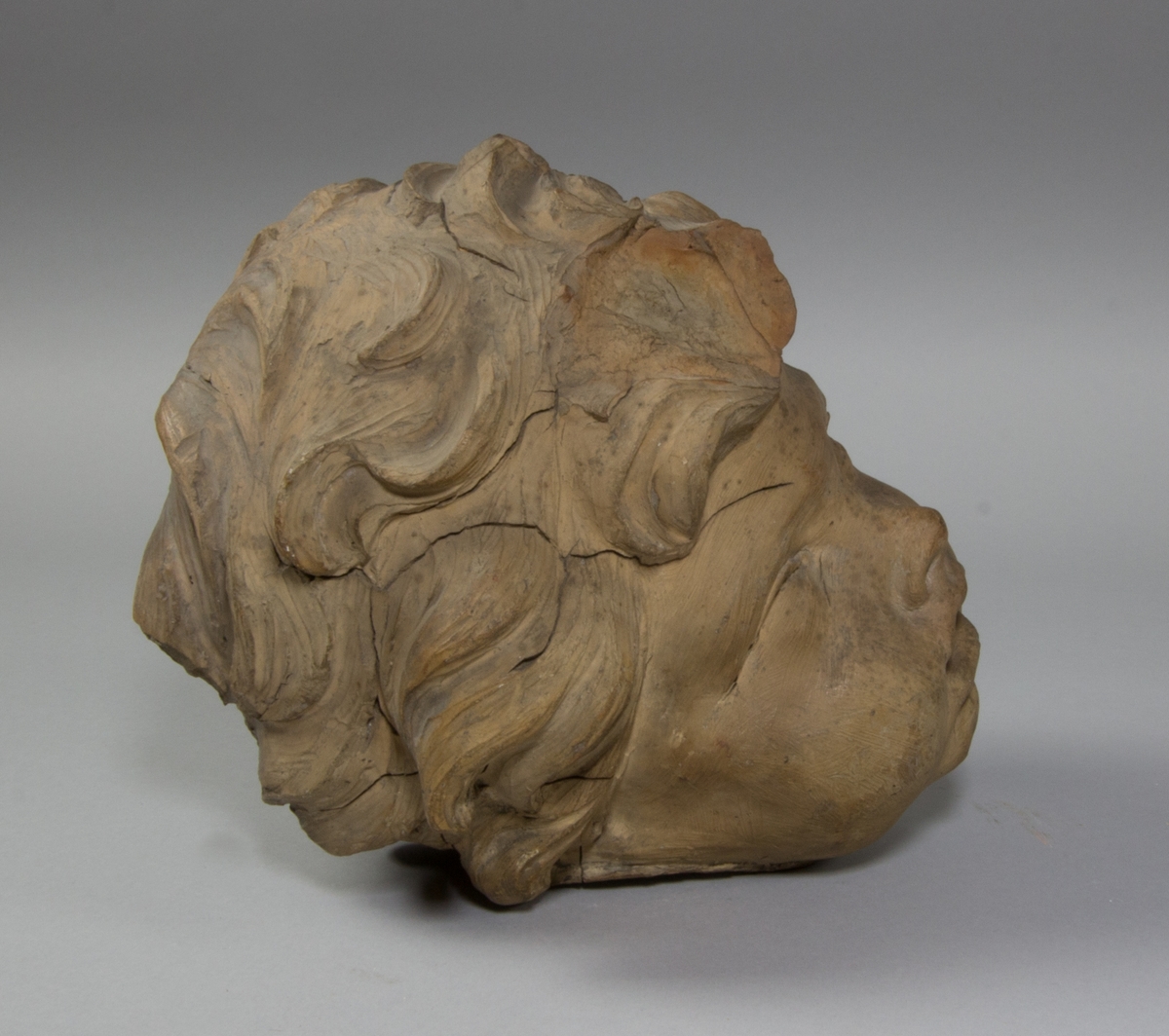 Barnhuvud, lockigt hår.