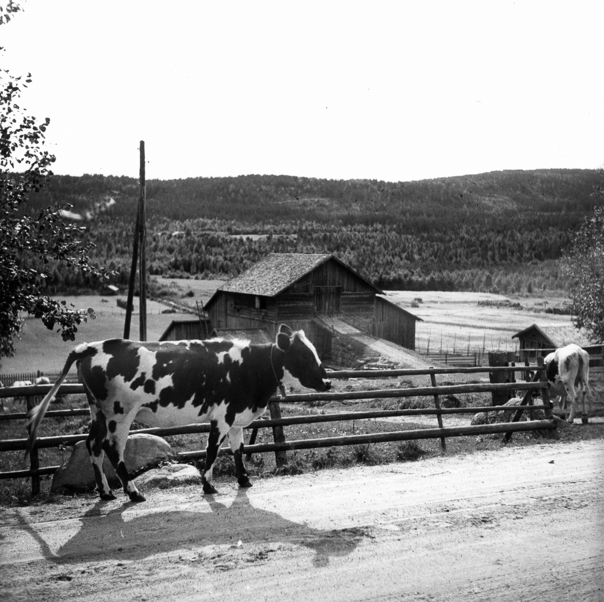 Tröskloge (kornlada) med uppkörsbro.