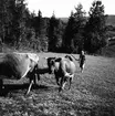 Sanna i Järvsö. Kor.