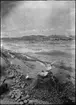 Diorama från Biologiska museets utställning om nordiskt djurliv i havs-, bergs- och skogsmiljö. Fotografi från omkring år 1900.
Biologiska museets utställning