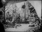 Diorama från Biologiska museets utställning om nordiskt djurliv i havs-, bergs- och skogsmiljö. Fotografi från omkring år 1900.
Biologiska museets utställning