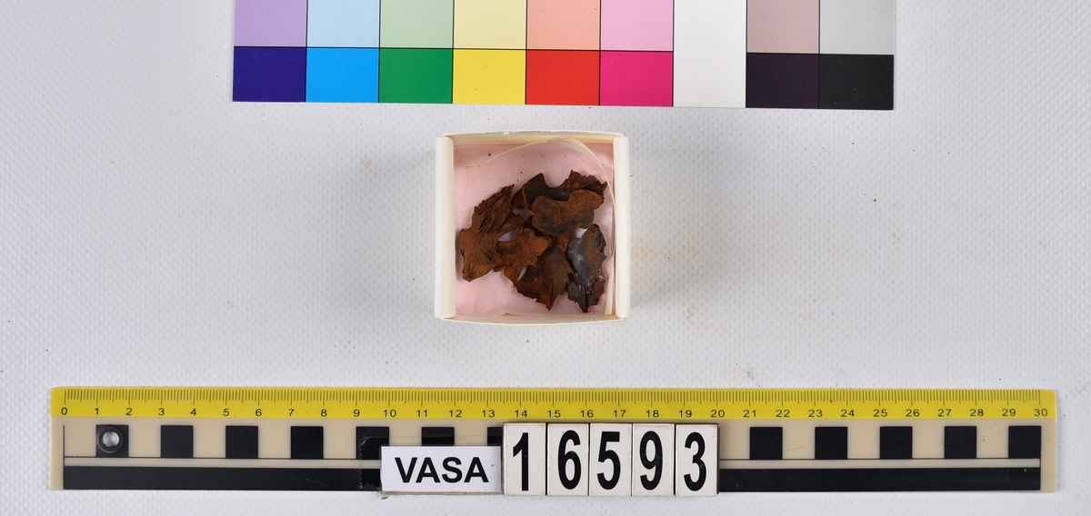 Ben från långa (Molva molva).
274 ben utöver en mängd av oräknade fenstrålar (lepidotrichia) och fenbärare (pterygiophori).
Benen består av 171 ben från olika huvuden och 103 från bål och stjärtar:
73 stjärtkotor (vertebrae caudales),
30 revben (costae),
12 (6+6) cleithra,
8 (5+3) praeopercularia,
7 (4+3) praemaxillaria,
7 (5+2) maxillaria,
7 (5+2) quadrata,
7 (4+3) dentalia,
7 (4+3) supracleithralia ventr.,
6 frontalia,
6 (4+2) ectopterygoidea,
6 (5+1) hyomandibularia,
6 (4+2) articularia,
6 (3+3) keratohyalia,
6 (4+2) scapulae,
5 ectehmoidalia,
5 (2+3) prootica,
5 lacrymalia,
5 (2+3) opercularia,
5 (2+3) interopercularia,
5 (4+1) palatina,
5 epihyalia,
4 (3+1) parietalia,
4 (1+3) pterotica,
4 supraoccipitalia,
4 vomeres,
3 (2+1) sphenotica,
3 exoccipitalia,
3 parasphenoidea,
3 supracleithralia dors.,
3 basipterygia,
2 mesethmoidalia,
1 intercalare,
1 infraorbitale post.,
1 symplecticum,
1 epioticum,
1 epibranchiale,
1 basihyale,
1 coracoideum.