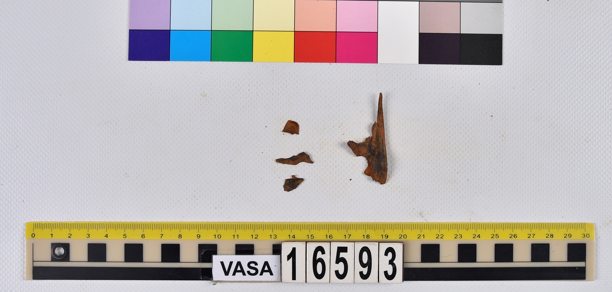 Ben från långa (Molva molva).
274 ben utöver en mängd av oräknade fenstrålar (lepidotrichia) och fenbärare (pterygiophori).
Benen består av 171 ben från olika huvuden och 103 från bål och stjärtar:
73 stjärtkotor (vertebrae caudales),
30 revben (costae),
12 (6+6) cleithra,
8 (5+3) praeopercularia,
7 (4+3) praemaxillaria,
7 (5+2) maxillaria,
7 (5+2) quadrata,
7 (4+3) dentalia,
7 (4+3) supracleithralia ventr.,
6 frontalia,
6 (4+2) ectopterygoidea,
6 (5+1) hyomandibularia,
6 (4+2) articularia,
6 (3+3) keratohyalia,
6 (4+2) scapulae,
5 ectehmoidalia,
5 (2+3) prootica,
5 lacrymalia,
5 (2+3) opercularia,
5 (2+3) interopercularia,
5 (4+1) palatina,
5 epihyalia,
4 (3+1) parietalia,
4 (1+3) pterotica,
4 supraoccipitalia,
4 vomeres,
3 (2+1) sphenotica,
3 exoccipitalia,
3 parasphenoidea,
3 supracleithralia dors.,
3 basipterygia,
2 mesethmoidalia,
1 intercalare,
1 infraorbitale post.,
1 symplecticum,
1 epioticum,
1 epibranchiale,
1 basihyale,
1 coracoideum.
