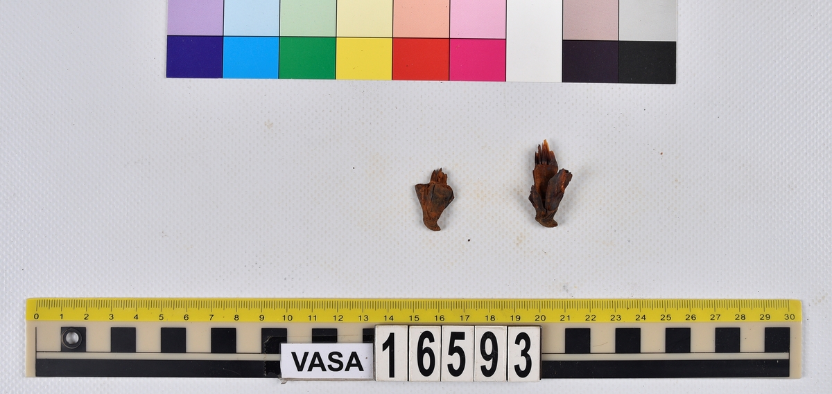 Ben från långa (Molva molva).
274 ben utöver en mängd av oräknade fenstrålar (lepidotrichia) och fenbärare (pterygiophori).
Benen består av 171 ben från olika huvuden och 103 från bål och stjärtar:
73 stjärtkotor (vertebrae caudales),
30 revben (costae),
12 (6+6) cleithra,
8 (5+3) praeopercularia,
7 (4+3) praemaxillaria,
7 (5+2) maxillaria,
7 (5+2) quadrata,
7 (4+3) dentalia,
7 (4+3) supracleithralia ventr.,
6 frontalia,
6 (4+2) ectopterygoidea,
6 (5+1) hyomandibularia,
6 (4+2) articularia,
6 (3+3) keratohyalia,
6 (4+2) scapulae,
5 ectehmoidalia,
5 (2+3) prootica,
5 lacrymalia,
5 (2+3) opercularia,
5 (2+3) interopercularia,
5 (4+1) palatina,
5 epihyalia,
4 (3+1) parietalia,
4 (1+3) pterotica,
4 supraoccipitalia,
4 vomeres,
3 (2+1) sphenotica,
3 exoccipitalia,
3 parasphenoidea,
3 supracleithralia dors.,
3 basipterygia,
2 mesethmoidalia,
1 intercalare,
1 infraorbitale post.,
1 symplecticum,
1 epioticum,
1 epibranchiale,
1 basihyale,
1 coracoideum.