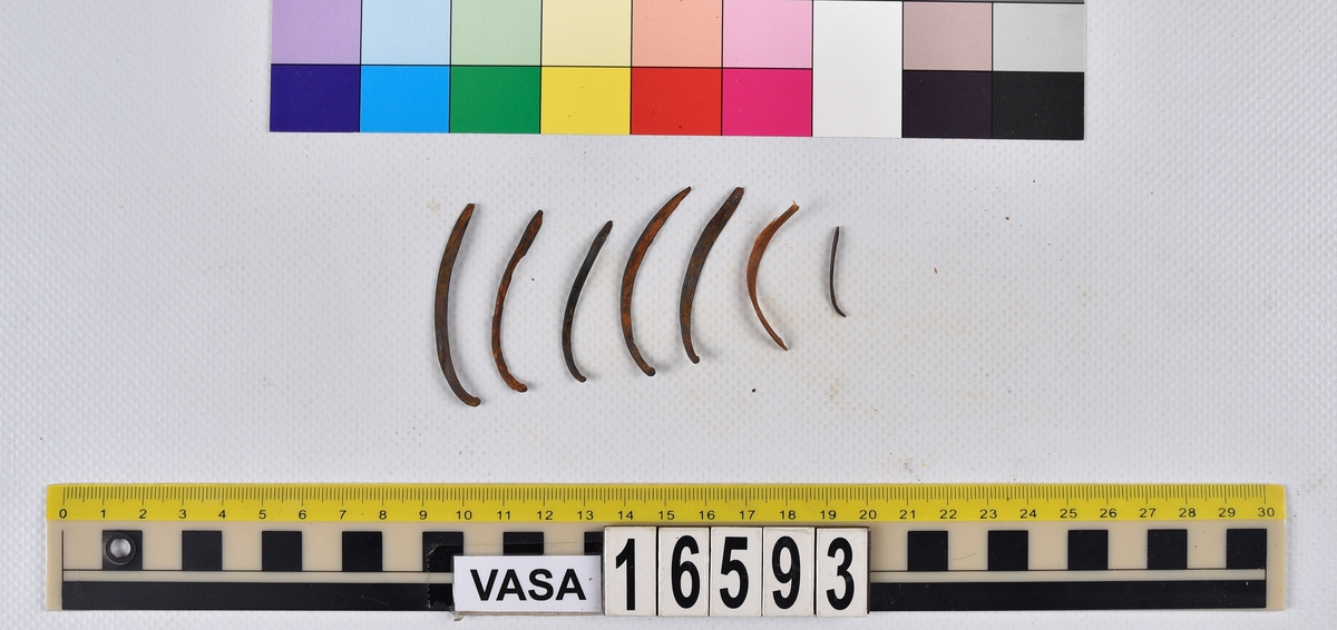 Ben från långa (Molva molva).
274 ben utöver en mängd av oräknade fenstrålar (lepidotrichia) och fenbärare (pterygiophori).
Benen består av 171 ben från olika huvuden och 103 från bål och stjärtar:
73 stjärtkotor (vertebrae caudales),
30 revben (costae),
12 (6+6) cleithra,
8 (5+3) praeopercularia,
7 (4+3) praemaxillaria,
7 (5+2) maxillaria,
7 (5+2) quadrata,
7 (4+3) dentalia,
7 (4+3) supracleithralia ventr.,
6 frontalia,
6 (4+2) ectopterygoidea,
6 (5+1) hyomandibularia,
6 (4+2) articularia,
6 (3+3) keratohyalia,
6 (4+2) scapulae,
5 ectehmoidalia,
5 (2+3) prootica,
5 lacrymalia,
5 (2+3) opercularia,
5 (2+3) interopercularia,
5 (4+1) palatina,
5 epihyalia,
4 (3+1) parietalia,
4 (1+3) pterotica,
4 supraoccipitalia,
4 vomeres,
3 (2+1) sphenotica,
3 exoccipitalia,
3 parasphenoidea,
3 supracleithralia dors.,
3 basipterygia,
2 mesethmoidalia,
1 intercalare,
1 infraorbitale post.,
1 symplecticum,
1 epioticum,
1 epibranchiale,
1 basihyale,
1 coracoideum.
