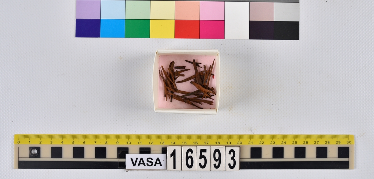 Ben från långa (Molva molva).
274 ben utöver en mängd av oräknade fenstrålar (lepidotrichia) och fenbärare (pterygiophori).
Benen består av 171 ben från olika huvuden och 103 från bål och stjärtar:
73 stjärtkotor (vertebrae caudales),
30 revben (costae),
12 (6+6) cleithra,
8 (5+3) praeopercularia,
7 (4+3) praemaxillaria,
7 (5+2) maxillaria,
7 (5+2) quadrata,
7 (4+3) dentalia,
7 (4+3) supracleithralia ventr.,
6 frontalia,
6 (4+2) ectopterygoidea,
6 (5+1) hyomandibularia,
6 (4+2) articularia,
6 (3+3) keratohyalia,
6 (4+2) scapulae,
5 ectehmoidalia,
5 (2+3) prootica,
5 lacrymalia,
5 (2+3) opercularia,
5 (2+3) interopercularia,
5 (4+1) palatina,
5 epihyalia,
4 (3+1) parietalia,
4 (1+3) pterotica,
4 supraoccipitalia,
4 vomeres,
3 (2+1) sphenotica,
3 exoccipitalia,
3 parasphenoidea,
3 supracleithralia dors.,
3 basipterygia,
2 mesethmoidalia,
1 intercalare,
1 infraorbitale post.,
1 symplecticum,
1 epioticum,
1 epibranchiale,
1 basihyale,
1 coracoideum.