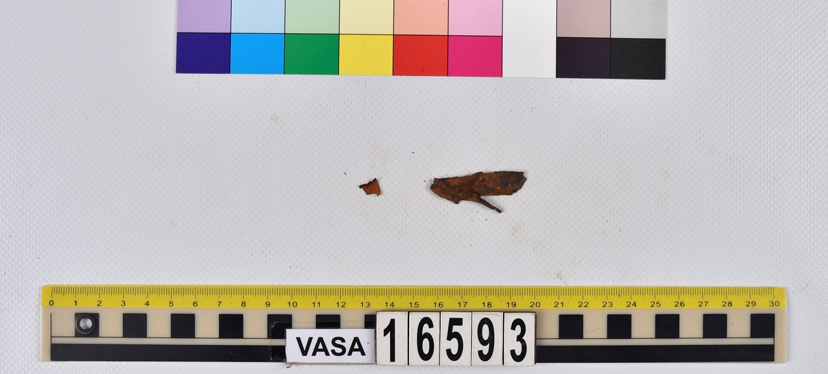 Ben från långa (Molva molva).
274 ben utöver en mängd av oräknade fenstrålar (lepidotrichia) och fenbärare (pterygiophori).
Benen består av 171 ben från olika huvuden och 103 från bål och stjärtar:
73 stjärtkotor (vertebrae caudales),
30 revben (costae),
12 (6+6) cleithra,
8 (5+3) praeopercularia,
7 (4+3) praemaxillaria,
7 (5+2) maxillaria,
7 (5+2) quadrata,
7 (4+3) dentalia,
7 (4+3) supracleithralia ventr.,
6 frontalia,
6 (4+2) ectopterygoidea,
6 (5+1) hyomandibularia,
6 (4+2) articularia,
6 (3+3) keratohyalia,
6 (4+2) scapulae,
5 ectehmoidalia,
5 (2+3) prootica,
5 lacrymalia,
5 (2+3) opercularia,
5 (2+3) interopercularia,
5 (4+1) palatina,
5 epihyalia,
4 (3+1) parietalia,
4 (1+3) pterotica,
4 supraoccipitalia,
4 vomeres,
3 (2+1) sphenotica,
3 exoccipitalia,
3 parasphenoidea,
3 supracleithralia dors.,
3 basipterygia,
2 mesethmoidalia,
1 intercalare,
1 infraorbitale post.,
1 symplecticum,
1 epioticum,
1 epibranchiale,
1 basihyale,
1 coracoideum.