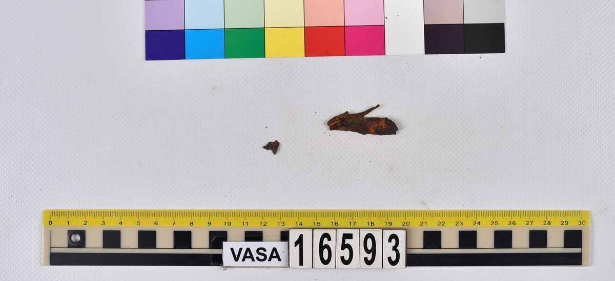Ben från långa (Molva molva).
274 ben utöver en mängd av oräknade fenstrålar (lepidotrichia) och fenbärare (pterygiophori).
Benen består av 171 ben från olika huvuden och 103 från bål och stjärtar:
73 stjärtkotor (vertebrae caudales),
30 revben (costae),
12 (6+6) cleithra,
8 (5+3) praeopercularia,
7 (4+3) praemaxillaria,
7 (5+2) maxillaria,
7 (5+2) quadrata,
7 (4+3) dentalia,
7 (4+3) supracleithralia ventr.,
6 frontalia,
6 (4+2) ectopterygoidea,
6 (5+1) hyomandibularia,
6 (4+2) articularia,
6 (3+3) keratohyalia,
6 (4+2) scapulae,
5 ectehmoidalia,
5 (2+3) prootica,
5 lacrymalia,
5 (2+3) opercularia,
5 (2+3) interopercularia,
5 (4+1) palatina,
5 epihyalia,
4 (3+1) parietalia,
4 (1+3) pterotica,
4 supraoccipitalia,
4 vomeres,
3 (2+1) sphenotica,
3 exoccipitalia,
3 parasphenoidea,
3 supracleithralia dors.,
3 basipterygia,
2 mesethmoidalia,
1 intercalare,
1 infraorbitale post.,
1 symplecticum,
1 epioticum,
1 epibranchiale,
1 basihyale,
1 coracoideum.