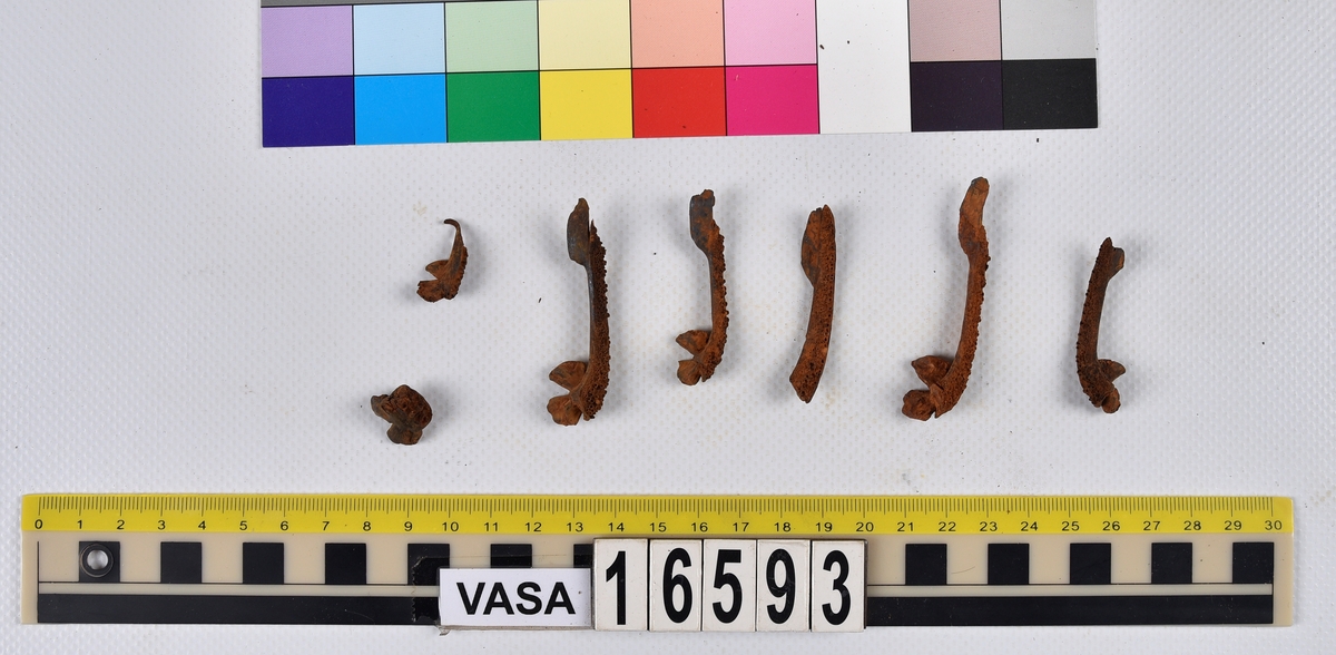 Ben från långa (Molva molva).
274 ben utöver en mängd av oräknade fenstrålar (lepidotrichia) och fenbärare (pterygiophori).
Benen består av 171 ben från olika huvuden och 103 från bål och stjärtar:
73 stjärtkotor (vertebrae caudales),
30 revben (costae),
12 (6+6) cleithra,
8 (5+3) praeopercularia,
7 (4+3) praemaxillaria,
7 (5+2) maxillaria,
7 (5+2) quadrata,
7 (4+3) dentalia,
7 (4+3) supracleithralia ventr.,
6 frontalia,
6 (4+2) ectopterygoidea,
6 (5+1) hyomandibularia,
6 (4+2) articularia,
6 (3+3) keratohyalia,
6 (4+2) scapulae,
5 ectehmoidalia,
5 (2+3) prootica,
5 lacrymalia,
5 (2+3) opercularia,
5 (2+3) interopercularia,
5 (4+1) palatina,
5 epihyalia,
4 (3+1) parietalia,
4 (1+3) pterotica,
4 supraoccipitalia,
4 vomeres,
3 (2+1) sphenotica,
3 exoccipitalia,
3 parasphenoidea,
3 supracleithralia dors.,
3 basipterygia,
2 mesethmoidalia,
1 intercalare,
1 infraorbitale post.,
1 symplecticum,
1 epioticum,
1 epibranchiale,
1 basihyale,
1 coracoideum.
