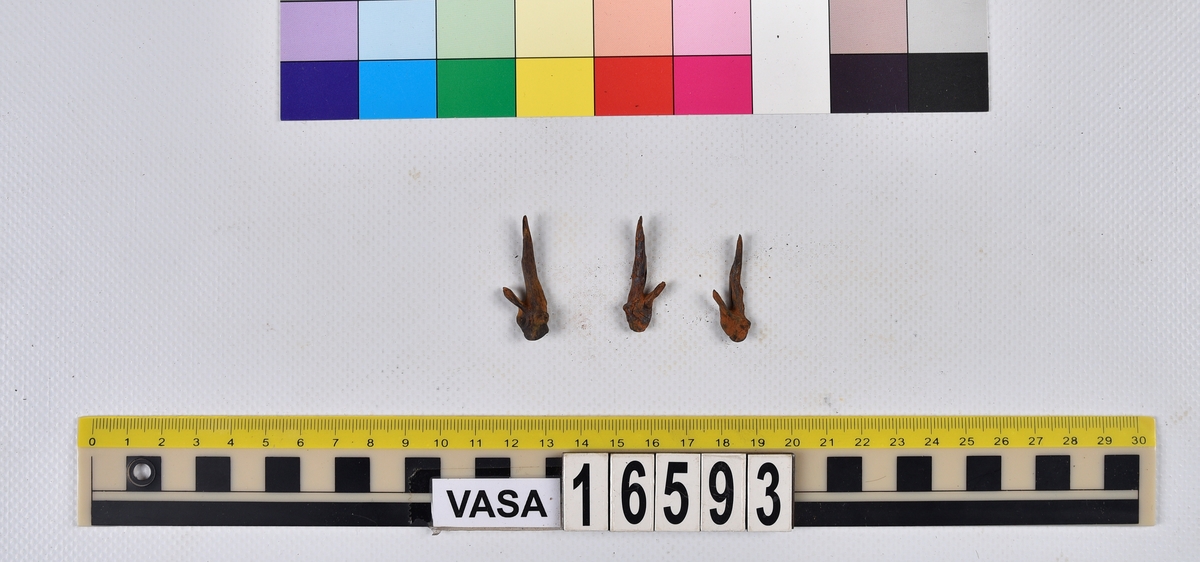 Ben från långa (Molva molva).
274 ben utöver en mängd av oräknade fenstrålar (lepidotrichia) och fenbärare (pterygiophori).
Benen består av 171 ben från olika huvuden och 103 från bål och stjärtar:
73 stjärtkotor (vertebrae caudales),
30 revben (costae),
12 (6+6) cleithra,
8 (5+3) praeopercularia,
7 (4+3) praemaxillaria,
7 (5+2) maxillaria,
7 (5+2) quadrata,
7 (4+3) dentalia,
7 (4+3) supracleithralia ventr.,
6 frontalia,
6 (4+2) ectopterygoidea,
6 (5+1) hyomandibularia,
6 (4+2) articularia,
6 (3+3) keratohyalia,
6 (4+2) scapulae,
5 ectehmoidalia,
5 (2+3) prootica,
5 lacrymalia,
5 (2+3) opercularia,
5 (2+3) interopercularia,
5 (4+1) palatina,
5 epihyalia,
4 (3+1) parietalia,
4 (1+3) pterotica,
4 supraoccipitalia,
4 vomeres,
3 (2+1) sphenotica,
3 exoccipitalia,
3 parasphenoidea,
3 supracleithralia dors.,
3 basipterygia,
2 mesethmoidalia,
1 intercalare,
1 infraorbitale post.,
1 symplecticum,
1 epioticum,
1 epibranchiale,
1 basihyale,
1 coracoideum.