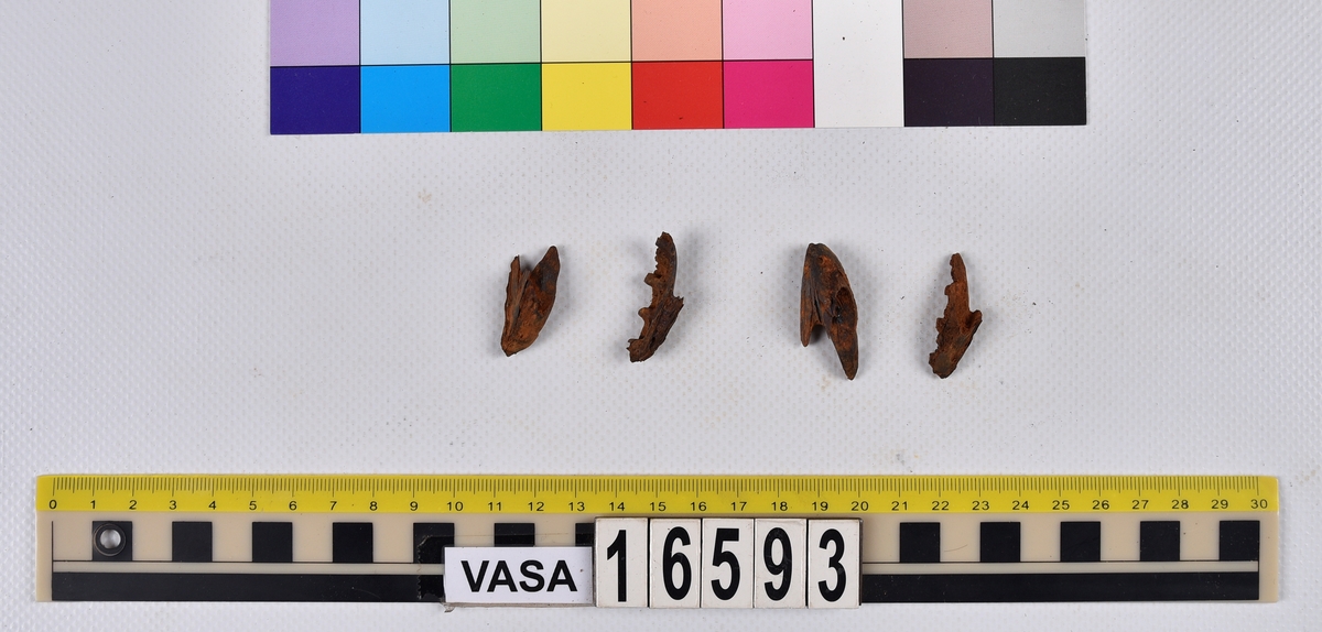 Ben från långa (Molva molva).
274 ben utöver en mängd av oräknade fenstrålar (lepidotrichia) och fenbärare (pterygiophori).
Benen består av 171 ben från olika huvuden och 103 från bål och stjärtar:
73 stjärtkotor (vertebrae caudales),
30 revben (costae),
12 (6+6) cleithra,
8 (5+3) praeopercularia,
7 (4+3) praemaxillaria,
7 (5+2) maxillaria,
7 (5+2) quadrata,
7 (4+3) dentalia,
7 (4+3) supracleithralia ventr.,
6 frontalia,
6 (4+2) ectopterygoidea,
6 (5+1) hyomandibularia,
6 (4+2) articularia,
6 (3+3) keratohyalia,
6 (4+2) scapulae,
5 ectehmoidalia,
5 (2+3) prootica,
5 lacrymalia,
5 (2+3) opercularia,
5 (2+3) interopercularia,
5 (4+1) palatina,
5 epihyalia,
4 (3+1) parietalia,
4 (1+3) pterotica,
4 supraoccipitalia,
4 vomeres,
3 (2+1) sphenotica,
3 exoccipitalia,
3 parasphenoidea,
3 supracleithralia dors.,
3 basipterygia,
2 mesethmoidalia,
1 intercalare,
1 infraorbitale post.,
1 symplecticum,
1 epioticum,
1 epibranchiale,
1 basihyale,
1 coracoideum.
