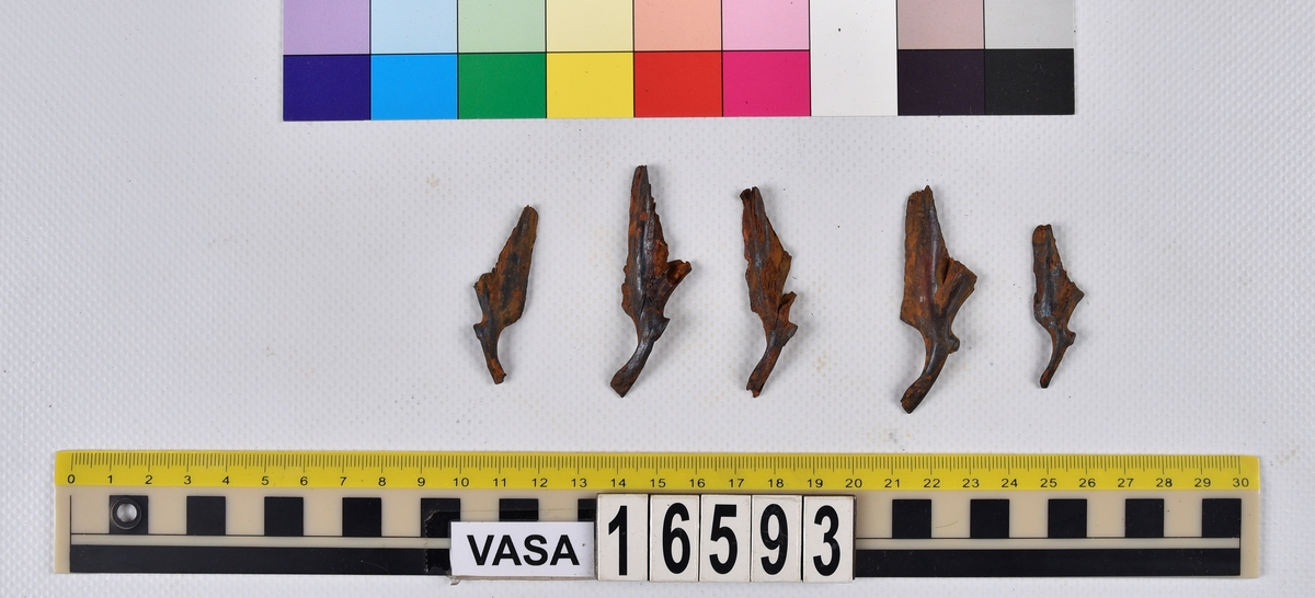 Ben från långa (Molva molva).
274 ben utöver en mängd av oräknade fenstrålar (lepidotrichia) och fenbärare (pterygiophori).
Benen består av 171 ben från olika huvuden och 103 från bål och stjärtar:
73 stjärtkotor (vertebrae caudales),
30 revben (costae),
12 (6+6) cleithra,
8 (5+3) praeopercularia,
7 (4+3) praemaxillaria,
7 (5+2) maxillaria,
7 (5+2) quadrata,
7 (4+3) dentalia,
7 (4+3) supracleithralia ventr.,
6 frontalia,
6 (4+2) ectopterygoidea,
6 (5+1) hyomandibularia,
6 (4+2) articularia,
6 (3+3) keratohyalia,
6 (4+2) scapulae,
5 ectehmoidalia,
5 (2+3) prootica,
5 lacrymalia,
5 (2+3) opercularia,
5 (2+3) interopercularia,
5 (4+1) palatina,
5 epihyalia,
4 (3+1) parietalia,
4 (1+3) pterotica,
4 supraoccipitalia,
4 vomeres,
3 (2+1) sphenotica,
3 exoccipitalia,
3 parasphenoidea,
3 supracleithralia dors.,
3 basipterygia,
2 mesethmoidalia,
1 intercalare,
1 infraorbitale post.,
1 symplecticum,
1 epioticum,
1 epibranchiale,
1 basihyale,
1 coracoideum.