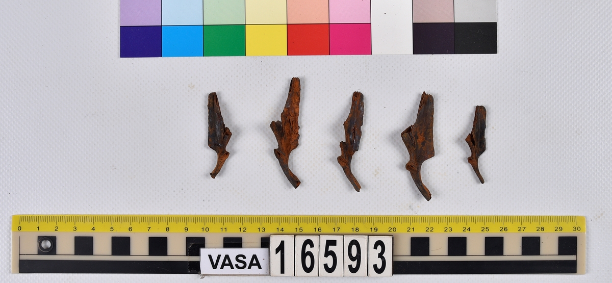 Ben från långa (Molva molva).
274 ben utöver en mängd av oräknade fenstrålar (lepidotrichia) och fenbärare (pterygiophori).
Benen består av 171 ben från olika huvuden och 103 från bål och stjärtar:
73 stjärtkotor (vertebrae caudales),
30 revben (costae),
12 (6+6) cleithra,
8 (5+3) praeopercularia,
7 (4+3) praemaxillaria,
7 (5+2) maxillaria,
7 (5+2) quadrata,
7 (4+3) dentalia,
7 (4+3) supracleithralia ventr.,
6 frontalia,
6 (4+2) ectopterygoidea,
6 (5+1) hyomandibularia,
6 (4+2) articularia,
6 (3+3) keratohyalia,
6 (4+2) scapulae,
5 ectehmoidalia,
5 (2+3) prootica,
5 lacrymalia,
5 (2+3) opercularia,
5 (2+3) interopercularia,
5 (4+1) palatina,
5 epihyalia,
4 (3+1) parietalia,
4 (1+3) pterotica,
4 supraoccipitalia,
4 vomeres,
3 (2+1) sphenotica,
3 exoccipitalia,
3 parasphenoidea,
3 supracleithralia dors.,
3 basipterygia,
2 mesethmoidalia,
1 intercalare,
1 infraorbitale post.,
1 symplecticum,
1 epioticum,
1 epibranchiale,
1 basihyale,
1 coracoideum.